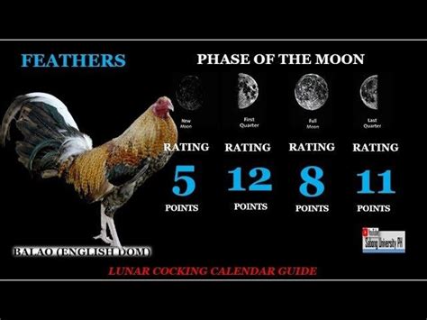 lunar calendar for cockfighting 2023|Cockfighting Lunar Calendar Graphics .